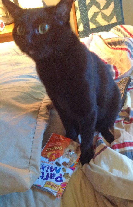 Oh, hiya Mom L, this was just lying here, really...honest...