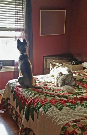 Great to be inside and comfy