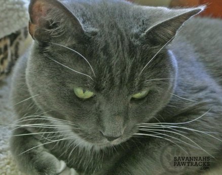 I now it is hard to vote when all have such need and deserve our support