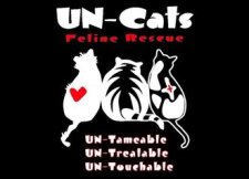un cats