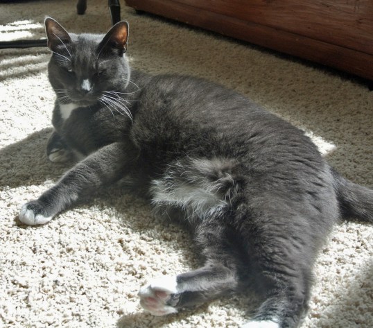 Seriously? You think I want to snuffle her tail?