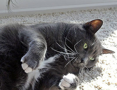 Yup Mom, I'm watching you out of the corner of my eye, but let me see what that is...