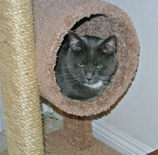 What'cha have there Mom L? Are we going to play?