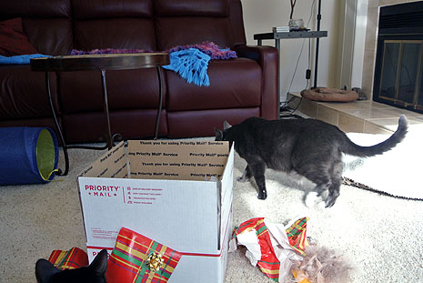 Yes, this will do nicely