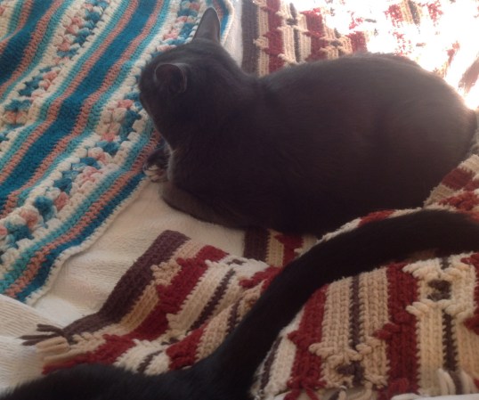 I am not going to be tempted