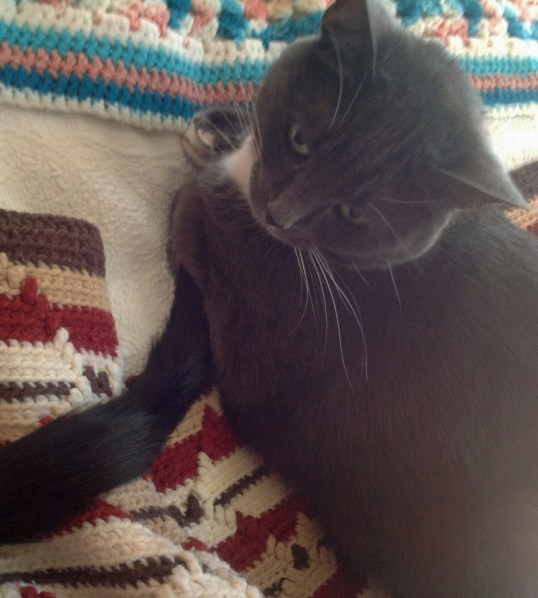 You want me do "what" with that tail??