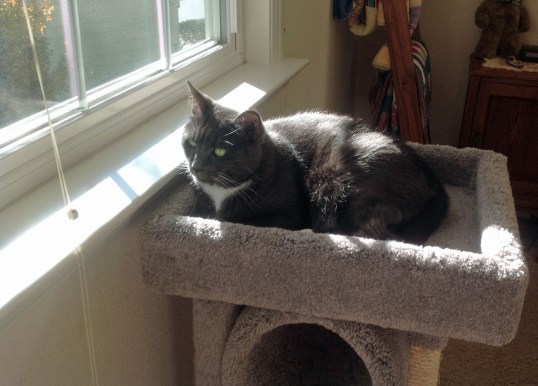 Ahhh...much nicer view from here