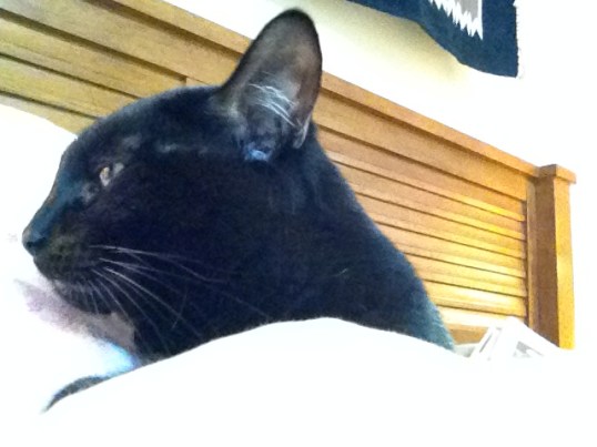 Oh wait, I wasn't ready!