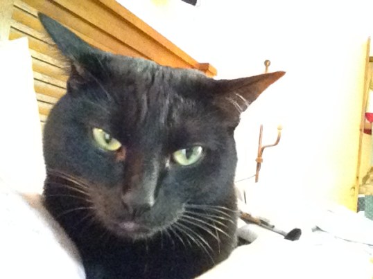 I don't think so...you get airplane ears this time