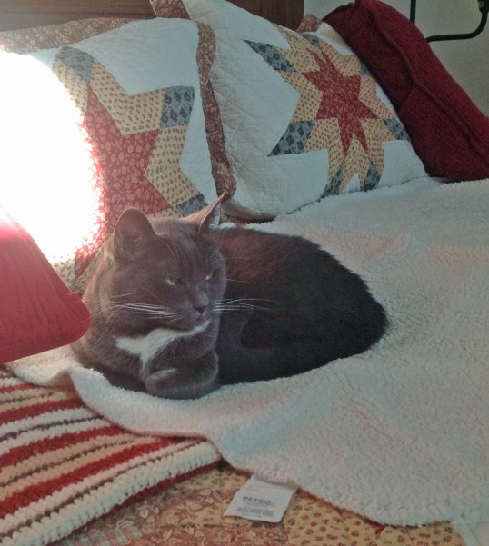 Mine, always and forever