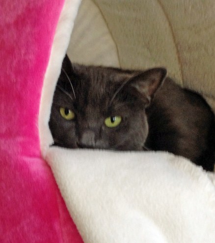 So, you're back...what did you bring for me?