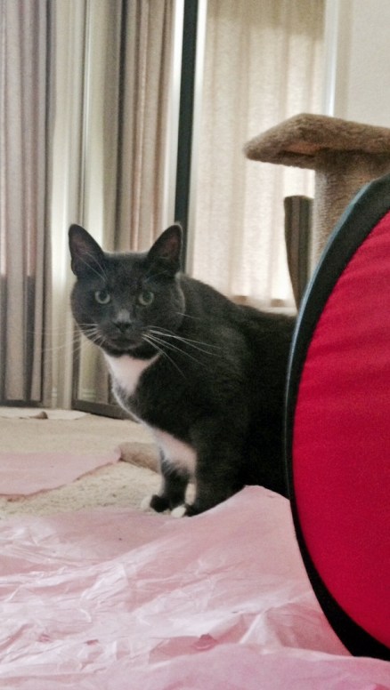 Who are you and what have you done with my Mom L??