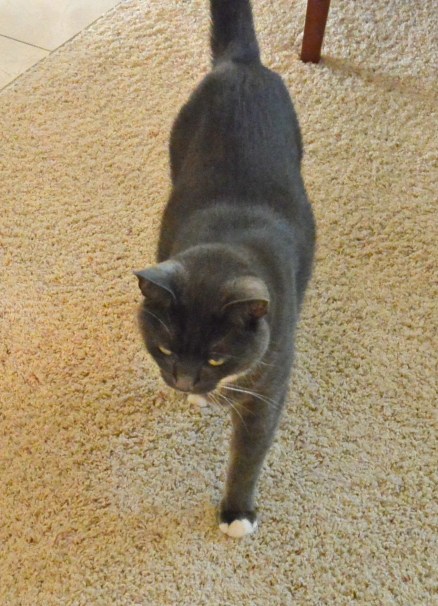 Nothing in my  office