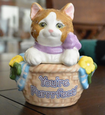 I am a purrfect new cat