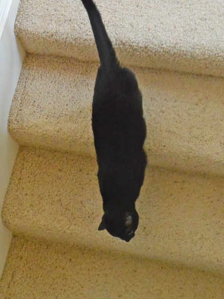 YRH!!! I am on my way! Never fear when I am near *snicker*