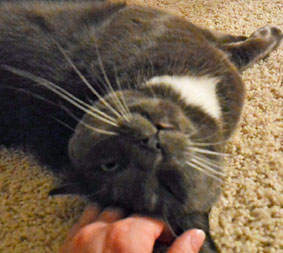 ahhhh...thanks Mom L...now it's your turn 