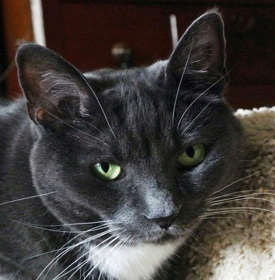 What shall I do about TKS?