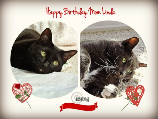 b day card Mom Linda