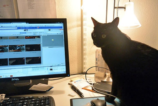 Are you really going to use THOSE photos? *shakes head in disbelief*