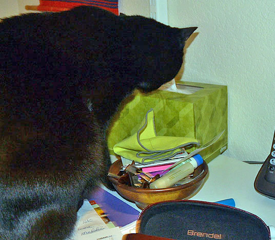 oh!! Tissue!! I love tissue!!!