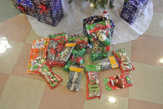 All for the cats and woofies