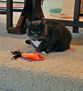 yeah, this one is MINE!