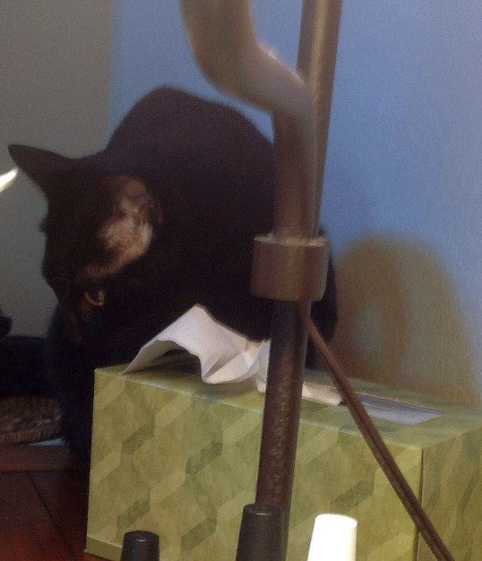 What is this? Has it always been here?