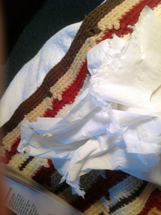 The end result of Sage discovering Kleenex tissue