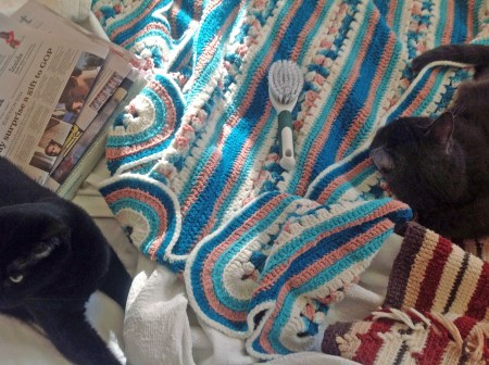 I had NO idea she was allowed so close to my royal self