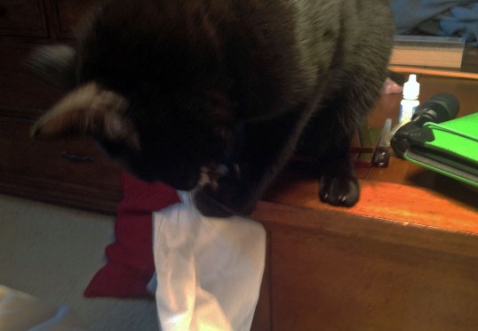 *sniff* wonder what they use this for. It certainly is fragile and tears easy