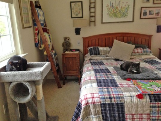 Where are Dad P and Mom L and what have you done with them?