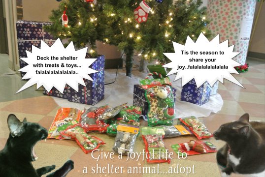 shelter gifts delivered