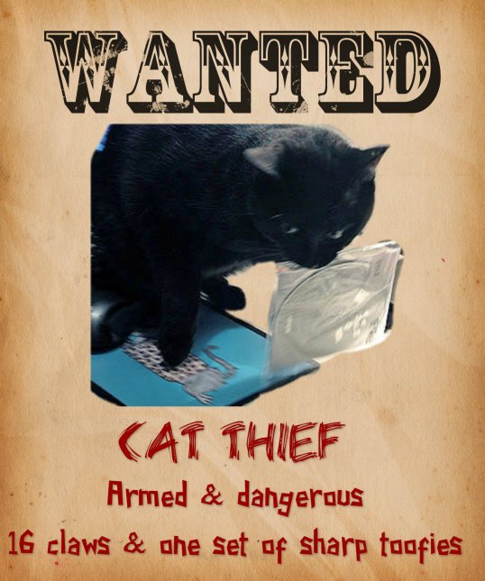 Wanted poster