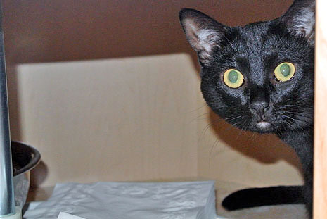 Oh, Hi Dad! Want something??