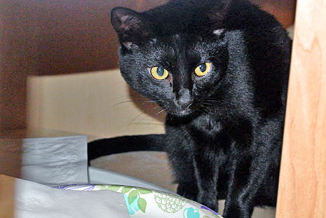 Want me to pass something out to you?