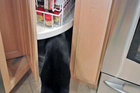 *sigh, can't have any fun around here...*