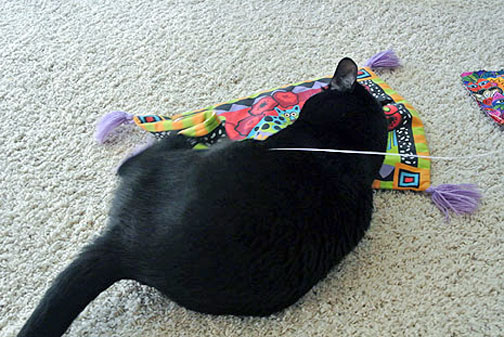 I've got you my pretty!!!!!!! #$)*$)(*#)*!!