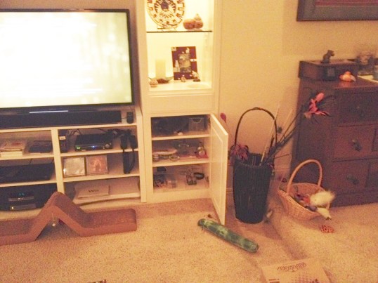 Do you see anything alive in this cupboard?