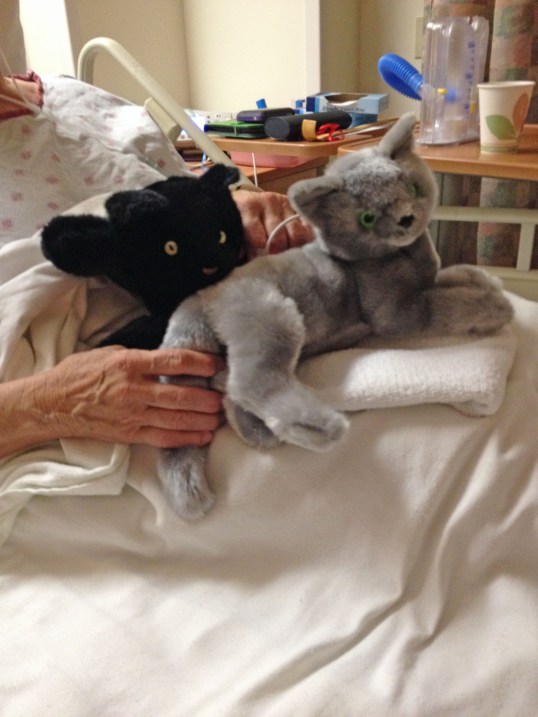 She is soooo needy...sigh