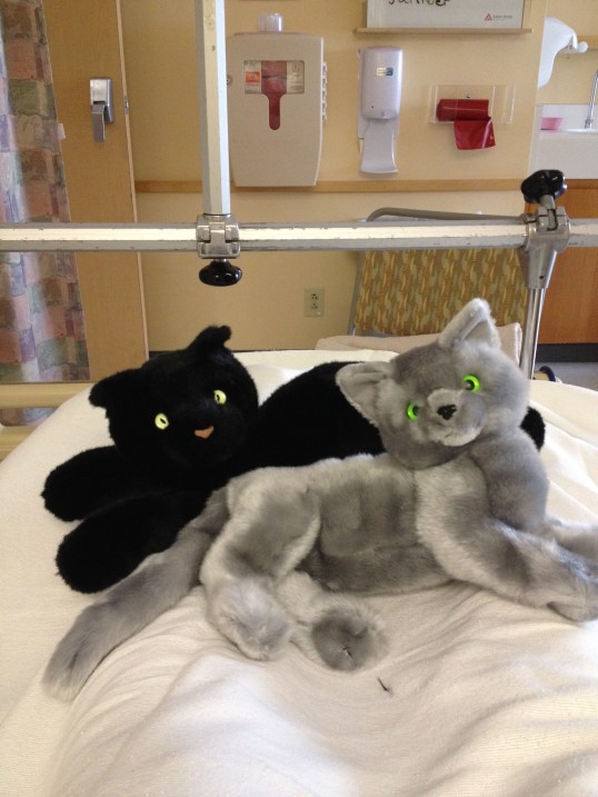 Hey Mom L! How ya doing today?