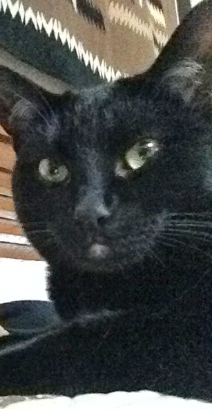 Mom L's heart rate is normal...