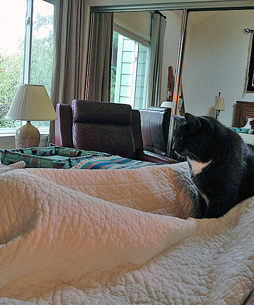 What to do *wringing paws* Should I call for Dad P?