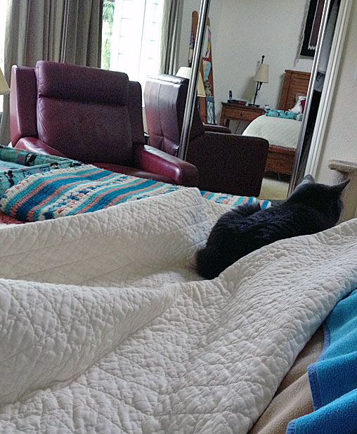 Harummppff! pfffttt! That TKS is just so annoying.