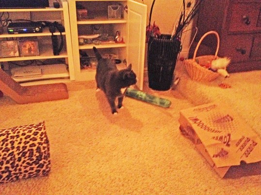 Oh, gosh. That was exciting!