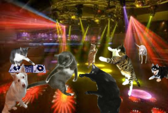 Keep spinning CK! Come on Sage, show me your moves!