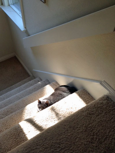 See? I am so on duty...eyes are open even if squinting