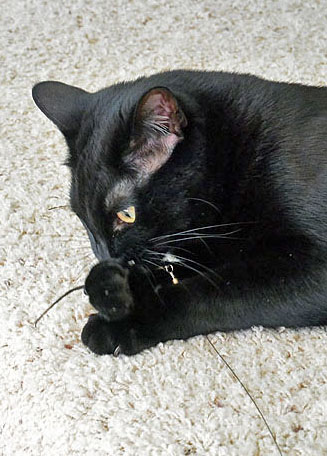 Maybe just a little taste before I take you away