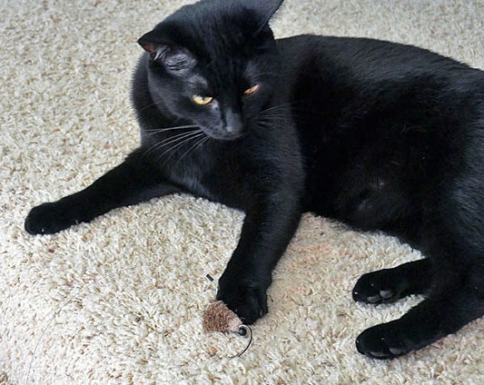 We may never get to be alone together...sigh