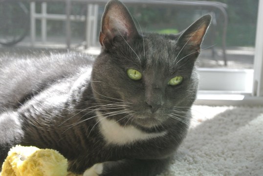 Can I talk with you frankly?