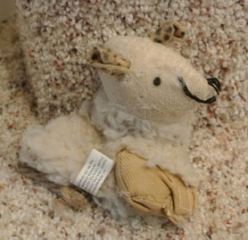 Savvy's first toy in her forever home...played with every night before bed